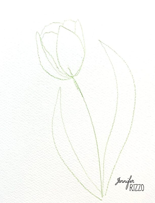 A simple green line drawing of a tulip with two leaves on white textured paper, signed "Jennifer Rizzo" in the bottom right corner—an inspiring example for anyone learning how to draw a tulip in pencil.