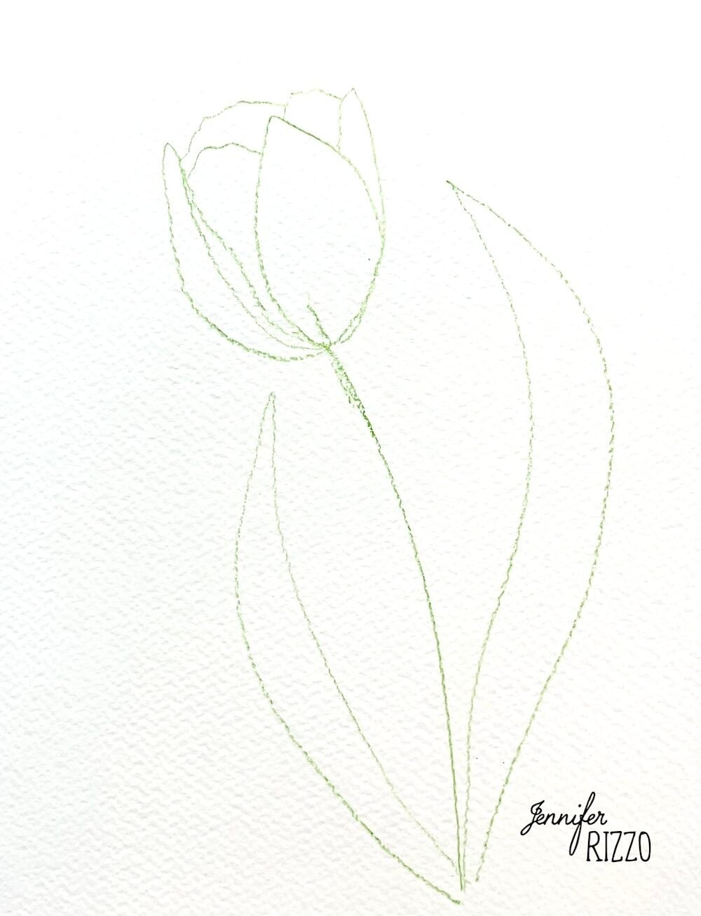 A simple green line drawing of a tulip with two leaves on white textured paper, signed "Jennifer Rizzo" in the bottom right corner—an inspiring example for anyone learning how to draw a tulip in pencil.