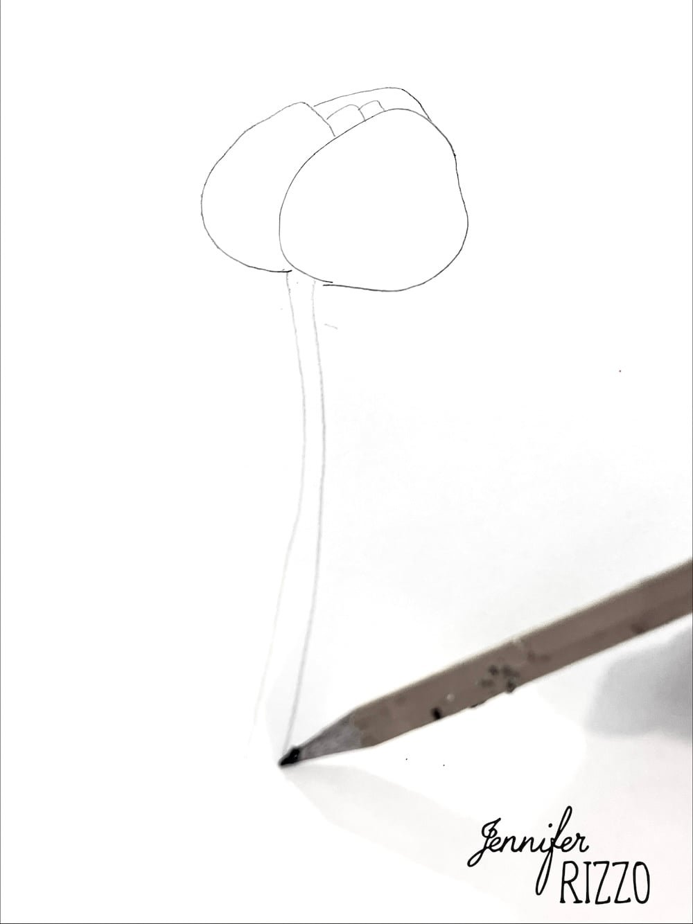 A pencil sketches the outline of a flower with a curved stem on white paper. The name "Jennifer Rizzo" appears in the bottom right corner.