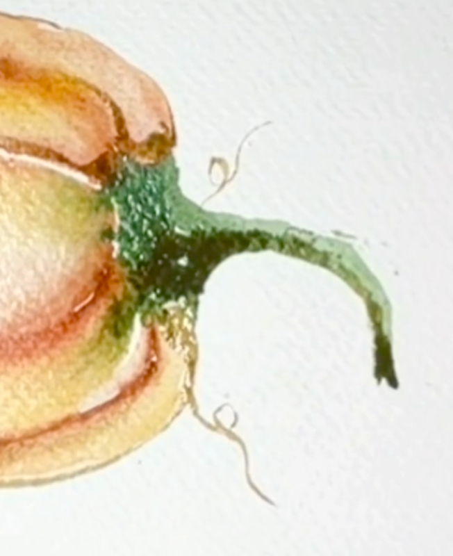 Close-up of a watercolor painting of an orange bell pepper with a green stem on a white background.