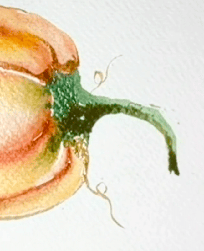 Close-up of a watercolor painting of an orange bell pepper with a green stem on a white background.