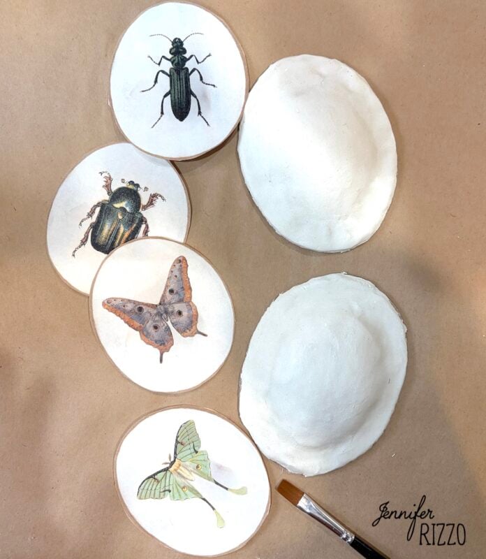 Four painted insect and moth illustrations on round plaques, two white plaster domes, and a paintbrush on a brown surface.