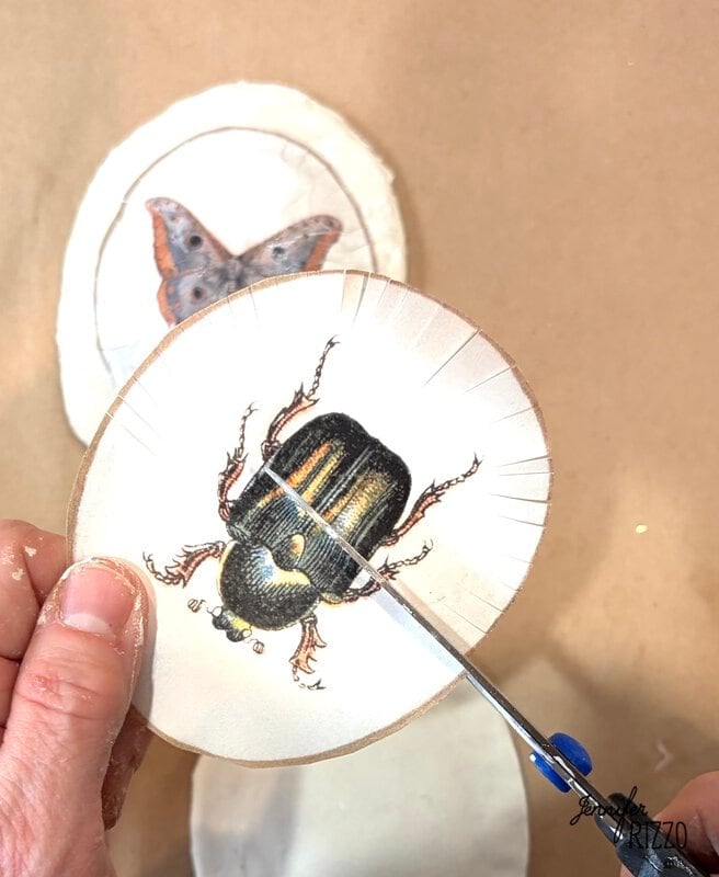 A hand uses scissors to cut out a circular paper with a beetle illustration; a butterfly illustration on another circle is visible underneath.