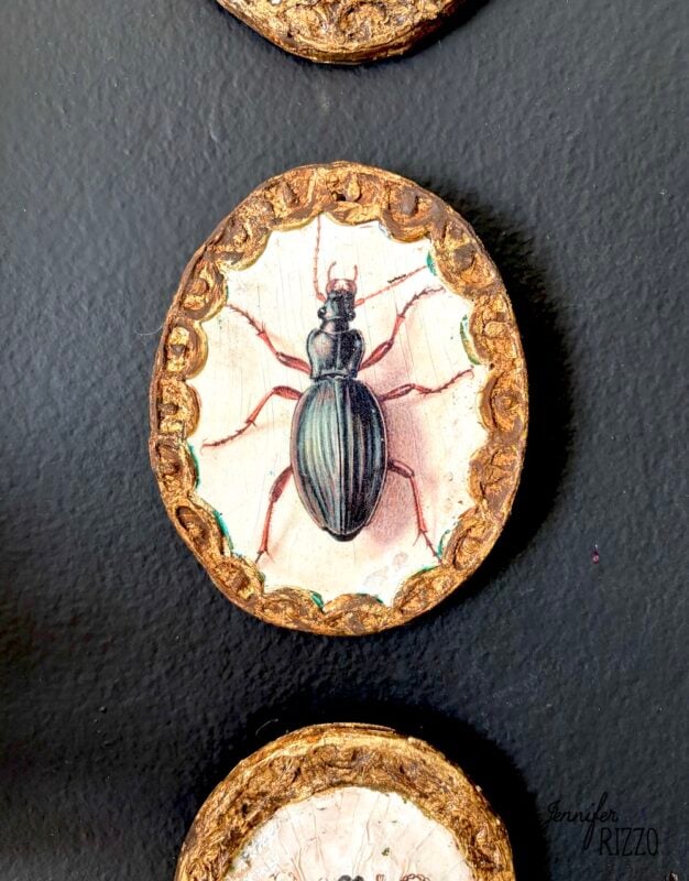 A painted illustration of a black beetle appears on a circular wood slice with a gold decorative border, mounted on a dark background.