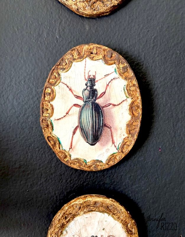 A painted illustration of a black beetle appears on a circular wood slice with a gold decorative border, mounted on a dark background.